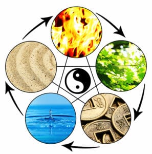 Scopri di più sull'articolo I 5 elementi