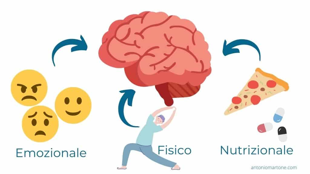 Le aree che agiscono sul sistema nervoso centrale