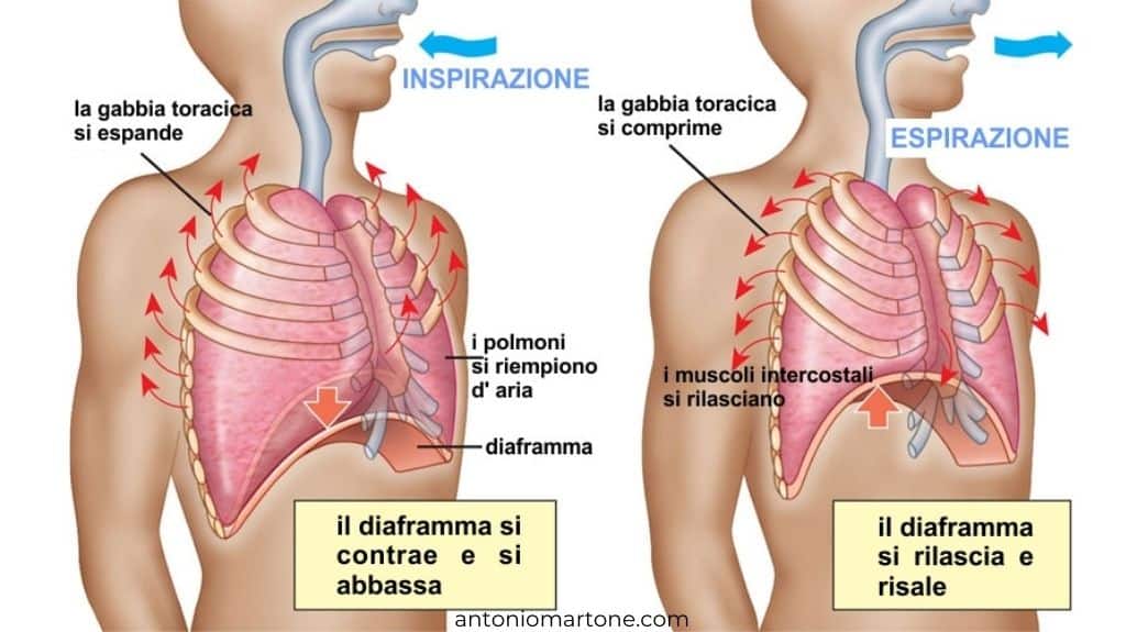 sbloccare il diaframma